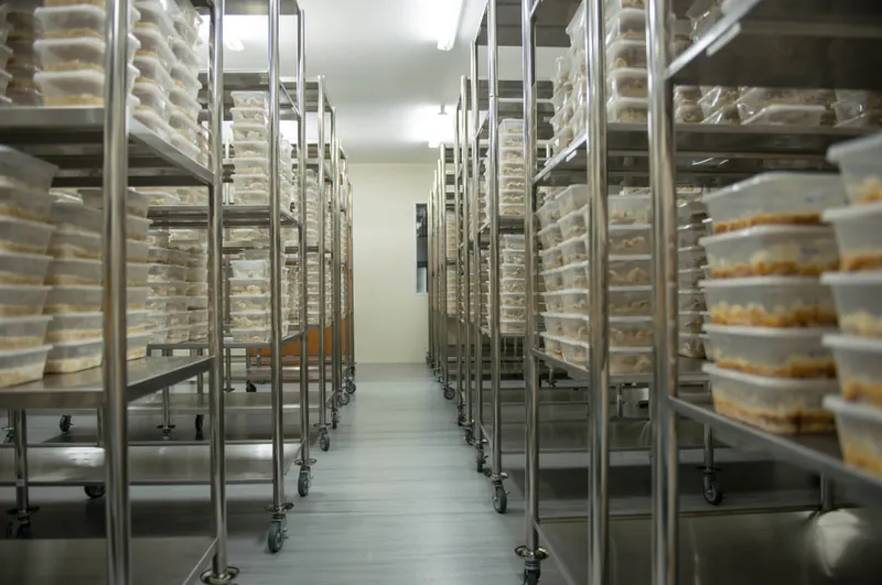 Cultivated mushrooms on storage racks