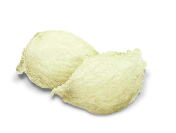 Nano Bird's Nest Essence