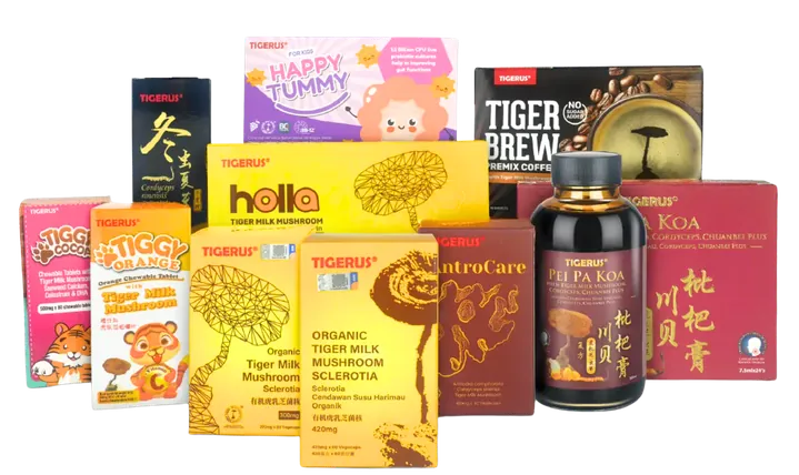 Medicinal mushroom product range